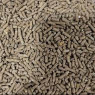 دان ویژه مرغ تخمگذار