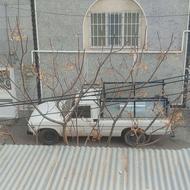 تویوتا 83 زاهدان