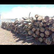 خریدچوب خشک وتر