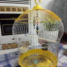 قفس طوطی با لوازم