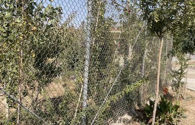 فروش باغ 500متر یک ساعته تهران