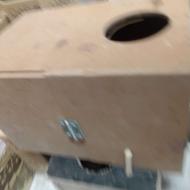 قفس پرنده عروس هلندی