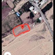 750 متر زمین دندی روستای زمایین