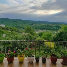 فروش خانه باغ 1000متری سیدابوصالح