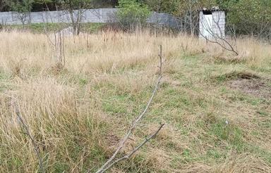 فروش زمین ییلاقی