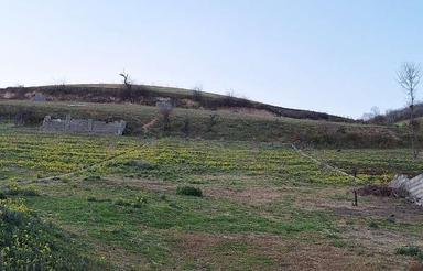 زمین در روستای بالا کولا