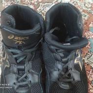 کفش کشتی اسیکس