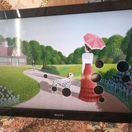 ال ای دی 42 بادیجیتال وکارتن