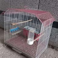 قفس پرنده مرغ عشق