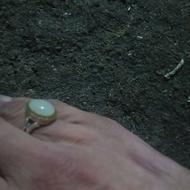 انگشتر نقره