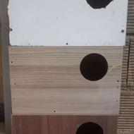 لونه عروس هلندی کوتوله و ...