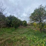 فروش زمین مسکونی 190 متر در کشک سرا.