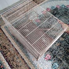 فروش قفس پرنده در حد