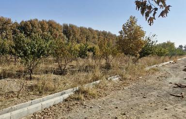 باغچه 400متری با درختان 5ساله سنددار