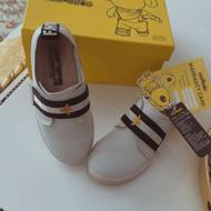 کتونب برند fashion dog