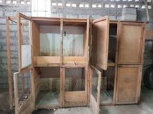 قفس مرغ کبوتر در شیپور