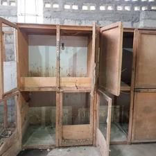 قفس مرغ کبوتر