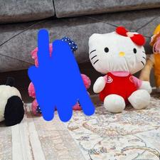 عروسک سالم ..