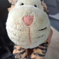 عروسک کوچولو