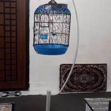 قفس پرنده،پایه دار