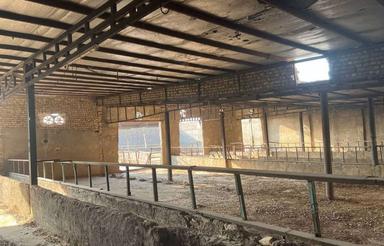 فروش دامداری صنعتی