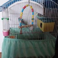 جفت مرغ عشق با تمام وسایل