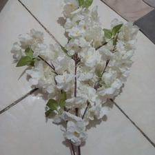 شکوفه شاخه ای