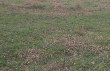 فروش زمین مسکونی‌ 500 متر