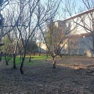 فروش زمین مسکونی 492 متر در روشندان