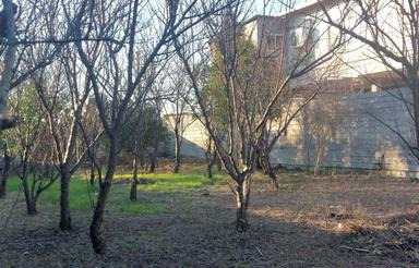 فروش زمین مسکونی 492 متر در روشندان