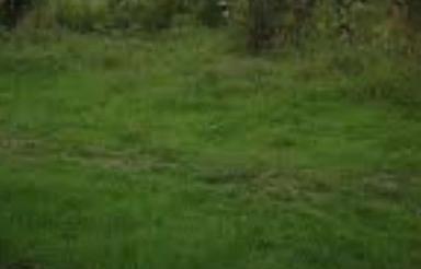 فروش زمین مسکونی 206 متر در چالوس فرج آباد