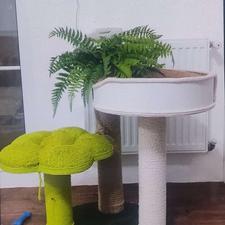 اسکراچر جای خواب گربه