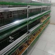 قفس تخم گذار،گوشتی،مرغ محلی وبلدرچین و...