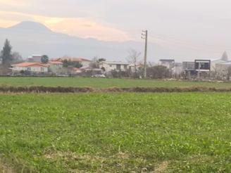 فروش زمین 1000 متری مناسب کلبه سویسی