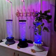 گیاه در آب جزیره( تولید و خود اشتغالی)