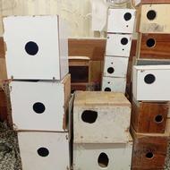 قفس پرنده کوچیکو بزرگ