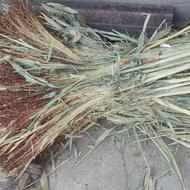 جارو محلی میانه بالای صد خروار