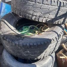 لاستیک پاترولی