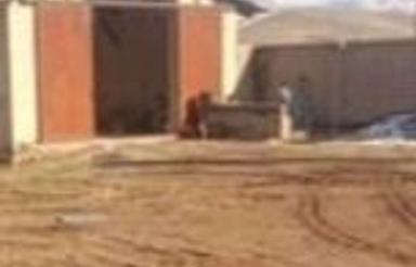 سوله 250 متری