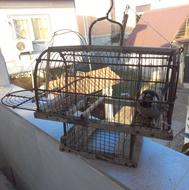 قفس پرنده دستباف