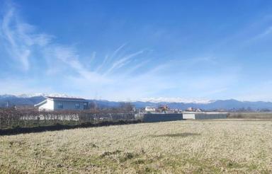 4000 متر باغ کیوی و شالیزار، سند دار،قیمت کف