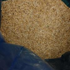 ذرت جو گندم 40 خریدار هستم