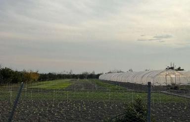 زمینی به متراژ 2200 متر چسبیده به بافت . دارای چاه آب