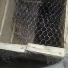 قفس مرغ وخروس