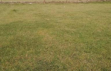   زمین 108 متر در زغال چال