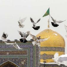 تور ریلی مشهد مقدس