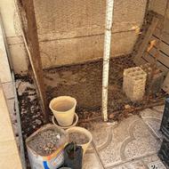 قفس مرغ وخروس، کفتر و....