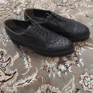 لباس و کفش بچگانه وکاپشن وکفش مردانه