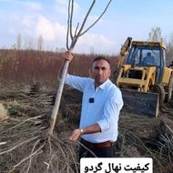 نهال فروشی ‌