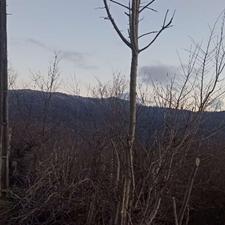 فروش زمین کشاورزی در بالا معلم کلا